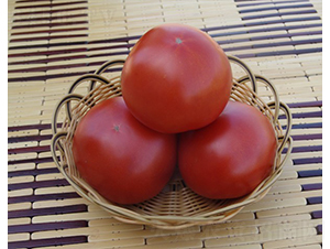 CNUS08F1-�������L���ѷN��-�A���N��