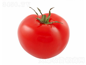 CNUS902F1-�������L���ѷN��-�A���N��