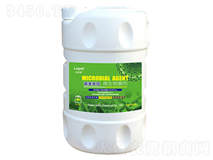 ���t(y��)����΢�������