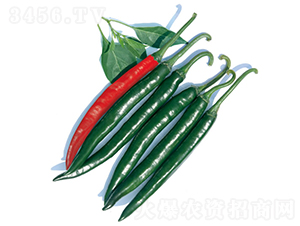 ���_˹-�����N��-�c�l(f��)��ʢ