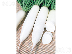 �������-�}���N��-�c�l(f��)��ʢ