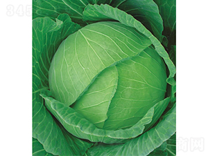 �c��75��-���{�N��-�c�l(f��)��ʢ