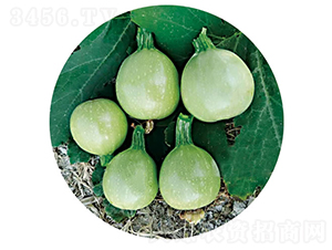 �G��-�����J�N��-�c�l(f��)��ʢ