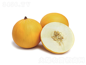 �c����ؐ-��ϷN��-�c�l(f��)��ʢ