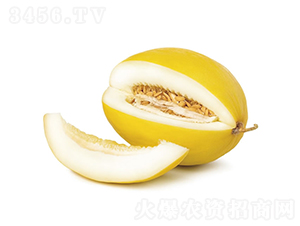 ����1̖(h��o)-��ϷN��-�c�l(f��)��ʢ