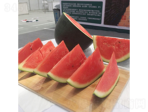 �c��2̖(h��o)-���ϷN��-�c�l(f��)��ʢ