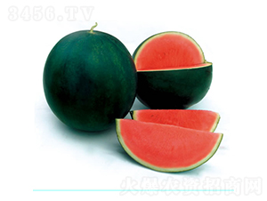 ��ö�o(w��)��1̖(h��o)-���ϷN��-�c�l(f��)��ʢ