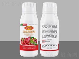 �ׇ��t΢�������-���SԴ-����