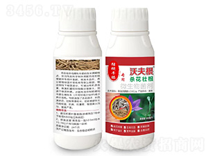 �۹�ţϥ����΢�������-�ַ��-����