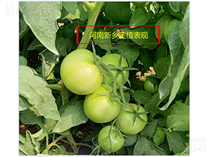 ����1622-���ѷN��-���зN��