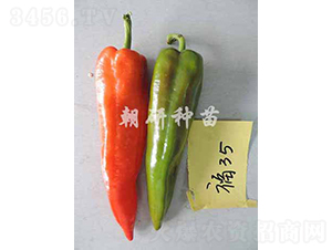 ��35-�����N��-���зN��