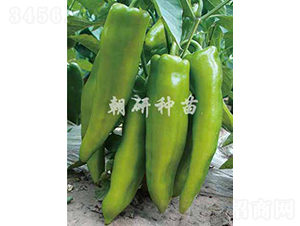 ����18-�����N��-���зN��