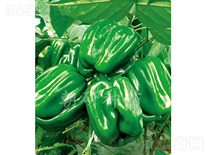 ������02-�����N��-���зN��