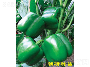 ��27-�����N��-���зN��