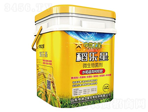 ΢�������-������-��΢֮��