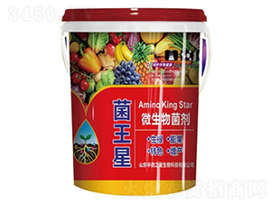 ΢�������-������-��΢֮��