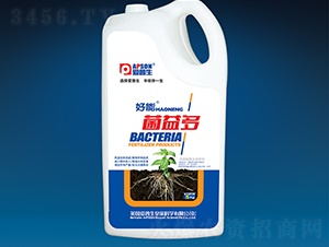 �����-����-������