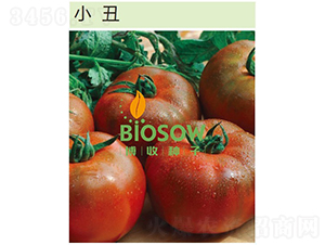 С��-���ѷN��-���շN��