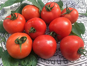 �t����-���ѷN��-���շN��