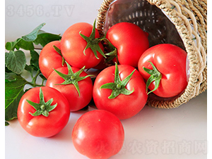 ����802-���ѷN��-���շN��