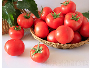 ����747-���ѷN��-���շN��