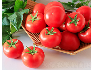 ����727-���ѷN��-���շN��