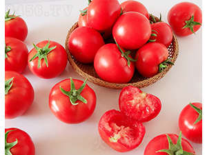 ����717-���ѷN��-���շN��