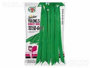 ��G40-�Z���_(d��)