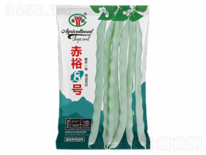 ��ԣ8̖-�Z���_(d��)