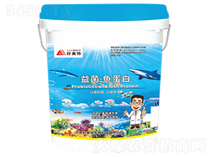 ������~����-������