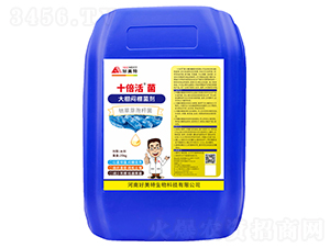 ʮ�������������-������