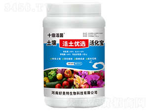 ����������(y��u)�x���-ʮ�����-������