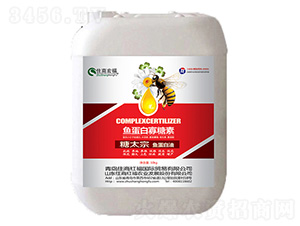 �~���׹�����-��̫��-ס�̇�(gu��)�H