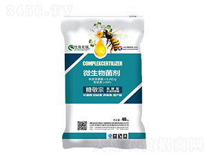 ΢�������-�Ǿ���-ס�̇��H