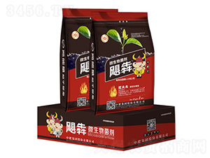 ΢�������-�Z��-�����ʘI(y��)