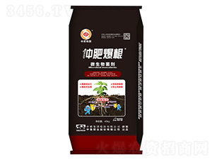 40kg΢�������-�зʱ���-�����ʘI(y��)