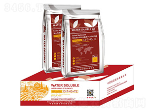 ����Ԫ��ˮ�ܷ�13-7-40+TE-�����ʘI(y��)