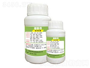 �Ǵ��}-�G�̿�-�x����