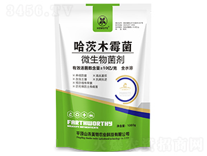 ����ľù��΢�������-������