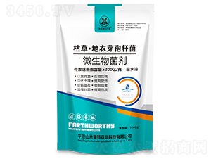 �ݲݡ�����ѿ�ߗU��-������