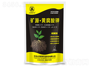 �VԴ���S�����-������