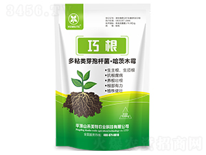 �ɸ�΢�������-������