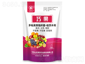 �ɹ�΢�������-������