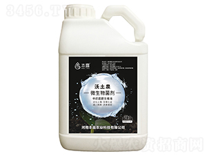 ����Ȫ΢�������-��¶