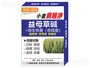 С��������-�����r(n��ng)��