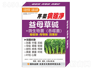 �۲˲�����-�����r(n��ng)��