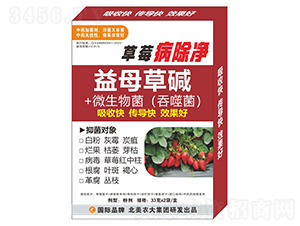 ��ݮ������-�����r(n��ng)��