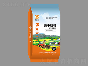 ΢�������-���N��ĸ-��ؐ��-����