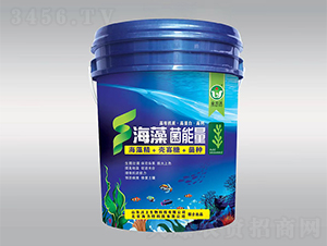 ���������-��ؐ��-����