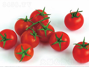 �R��-���ѷN��-����